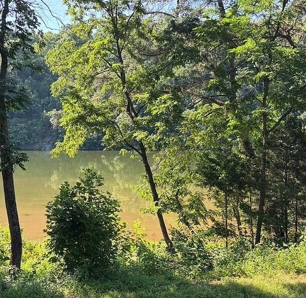 1st image of 1953 Moorman Rd Lot 9