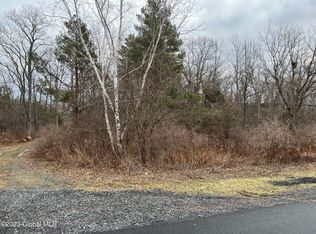 0 Spore Rd, Delmar, NY 12054