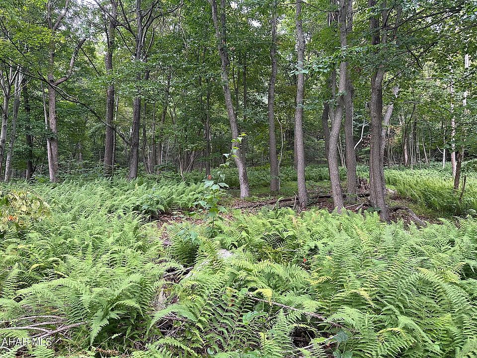 1st image of LOT 1A Louks Ln