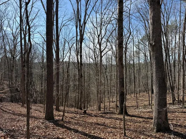 131 Nicholson Ln, Talking Rock, GA 30175