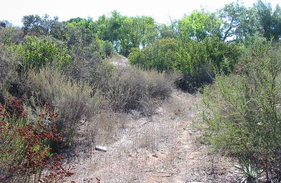 2nd image of 0000 Lilac Ranch Rd #4