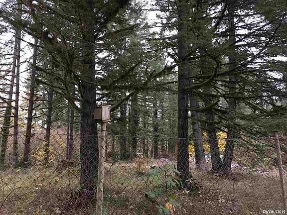 2nd image of 23201 Salmonberry Ln