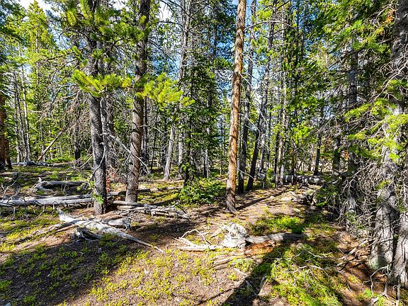 2nd image of 440 Gold Trail Circle