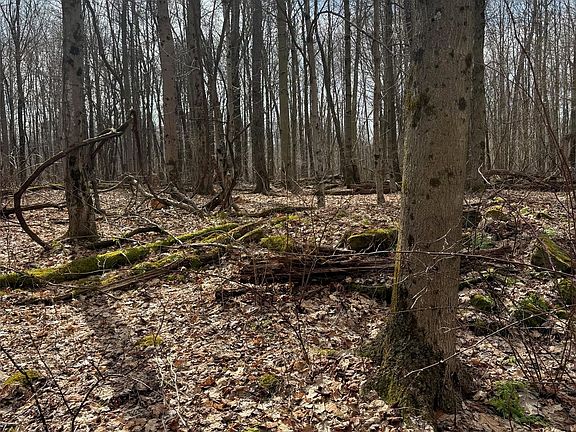 2nd image of 2994 County Line Rd