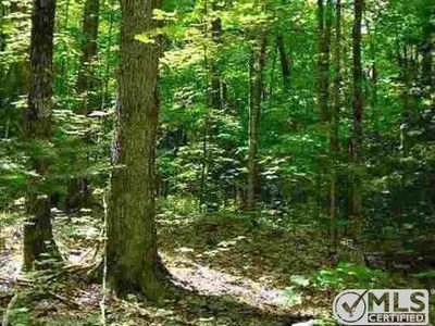 Off Rd #2151, Florence, WI, 54121