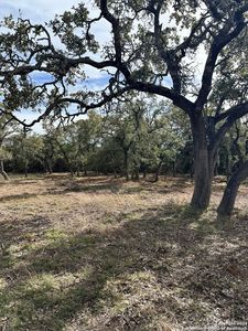 11380 FM 32 LOT NN MM, Fischer, TX, 78623