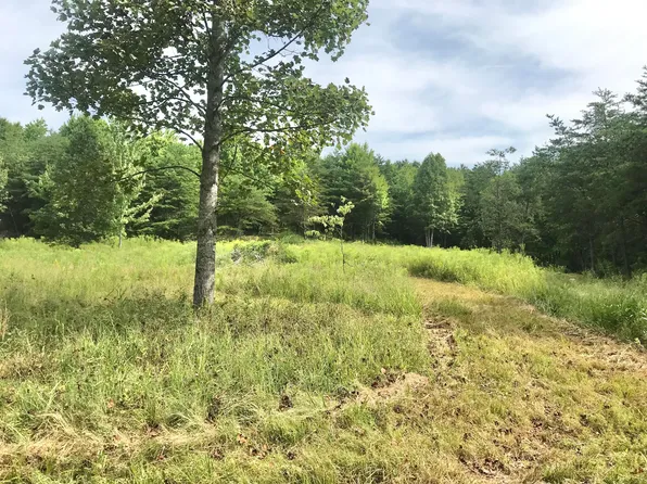 147 Hanshaw Rd, Olive Hill, KY 41164