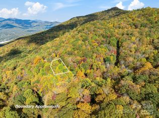 99999 Lytle Cove Rd, Swannanoa, NC 28778