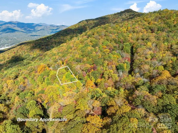 99999 Lytle Cove Rd, Swannanoa, NC 28778