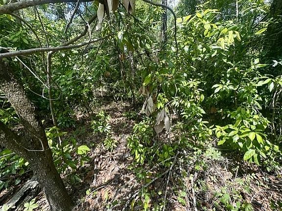 4th image of 284th St Lot 1