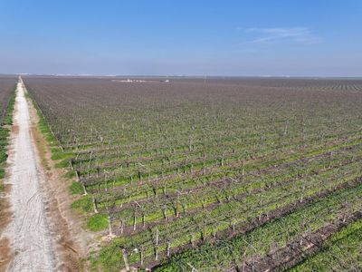 0 Wallace Rd, Delano, CA, 93215