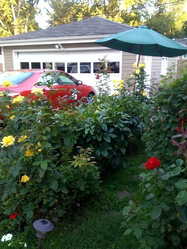 1405 N President St photo 1