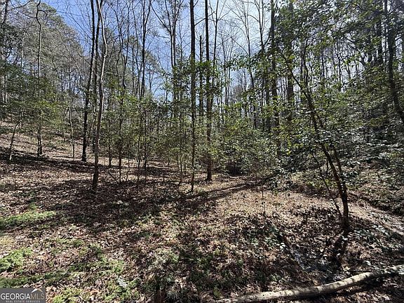 4th image of 0 Bayou Ct