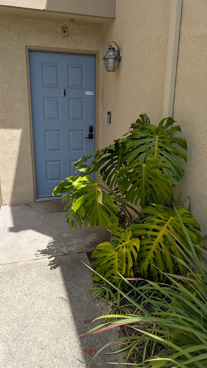Building Photo - 5307 Port Sailwood Dr #11