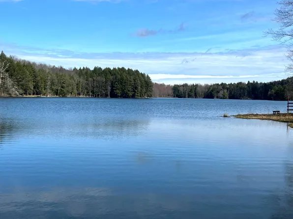 597 Bliven Coye Hill Rd Lot 2, Smyrna, NY 13464