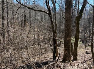 Lots Rich Mountain Rd, Ellijay, GA 30540
