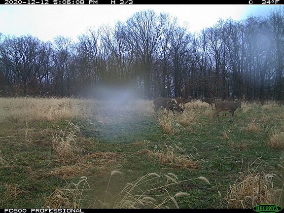 2nd image of 2445 Carbide Ln