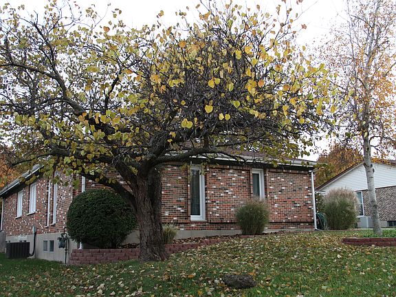 View as approaching house