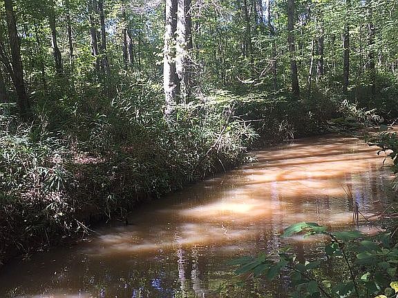 Creek on property