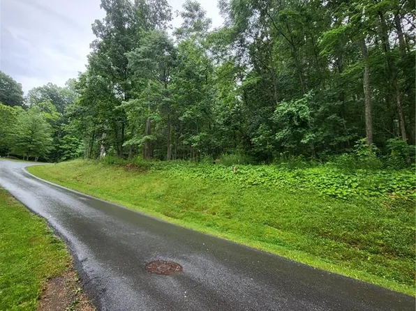 50 Donald Ross Trl, Hot Springs, VA 24445