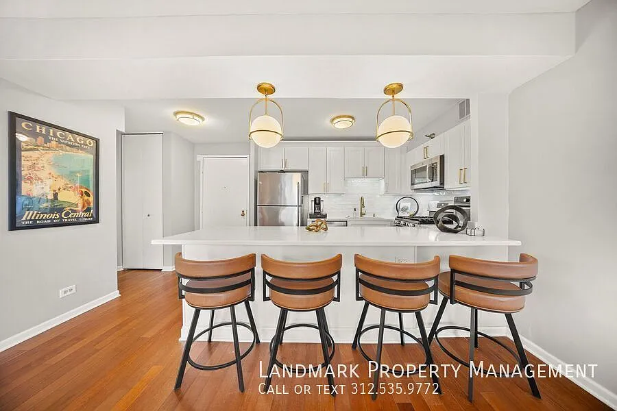 1309 N Wells St Apt 904 — Photo 4