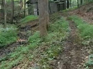 295 Bennett Branch Rd, Green Mountain, NC 28740