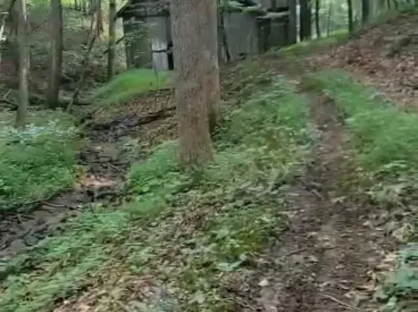 295 Bennett Branch Rd, Green Mountain, NC 28740