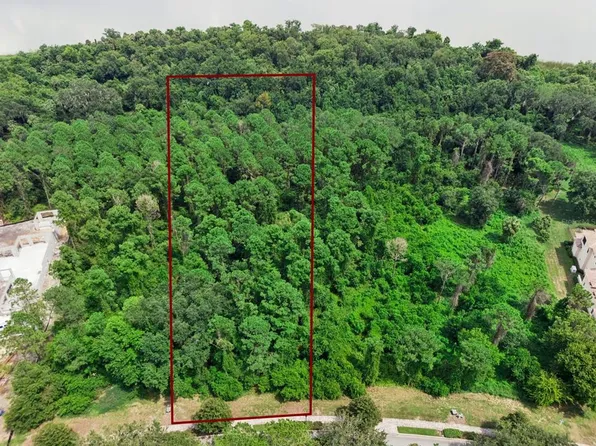 17135 ETRUSCAN LANE LOT 109, MONTVERDE, FL 34756
