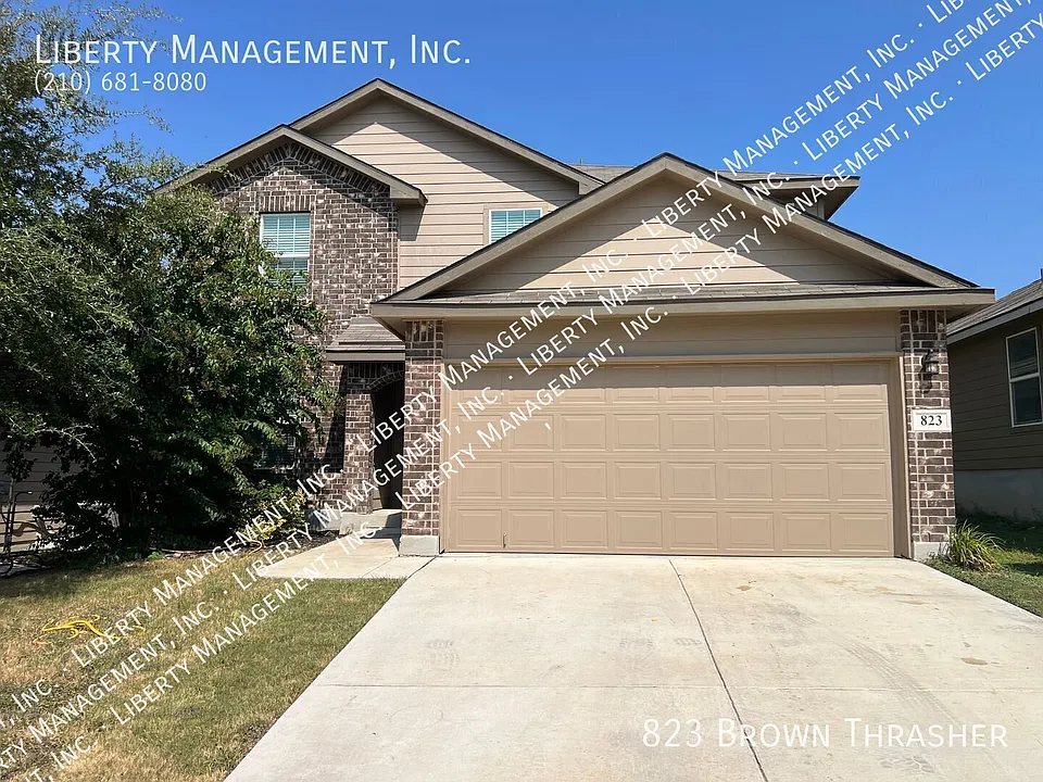 823 Brown Thrasher