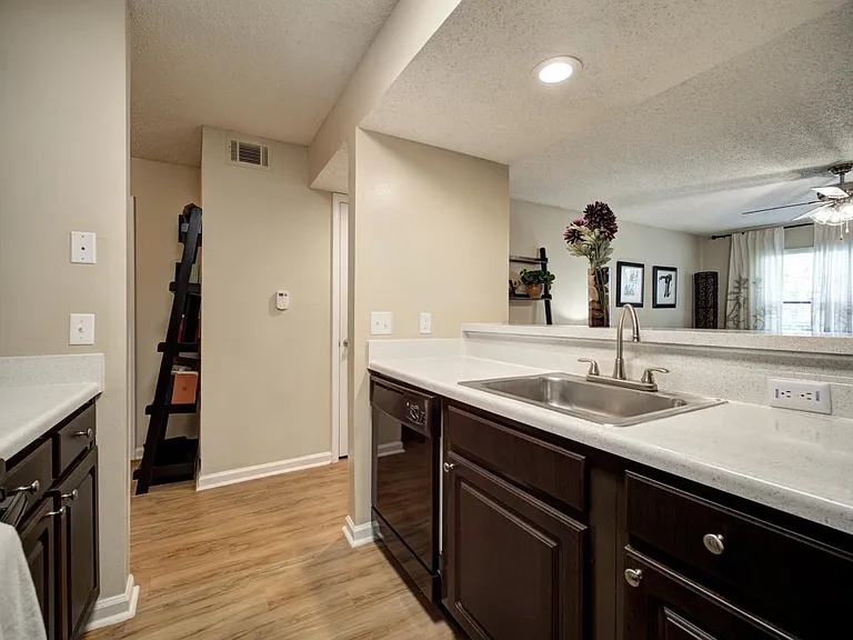 Grande Oasis at Carrollwood — Photo 10