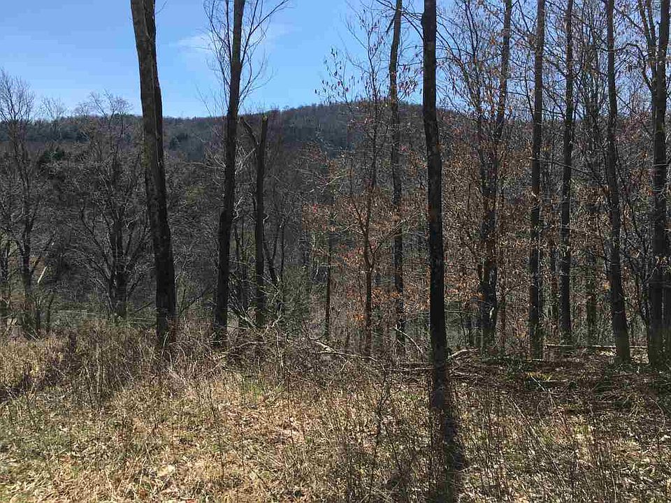 185 N Branch Callicoon Center Rd, North Branch, NY 12766 Zillow