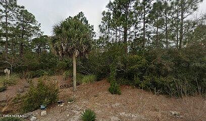 2nd image of 4279 River Birch Drive