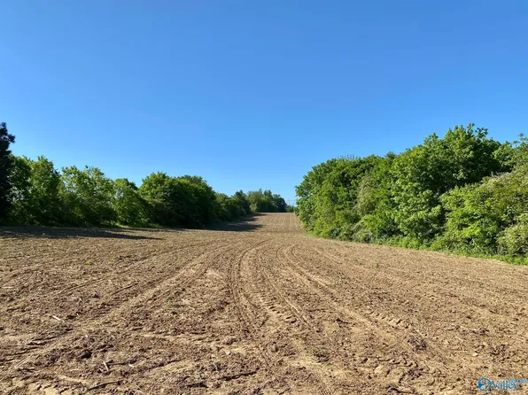Martling Gap Rd, Albertville, AL 35951