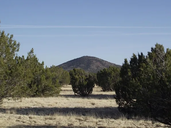 1311 E Utopia Trl, Williams, AZ 86046