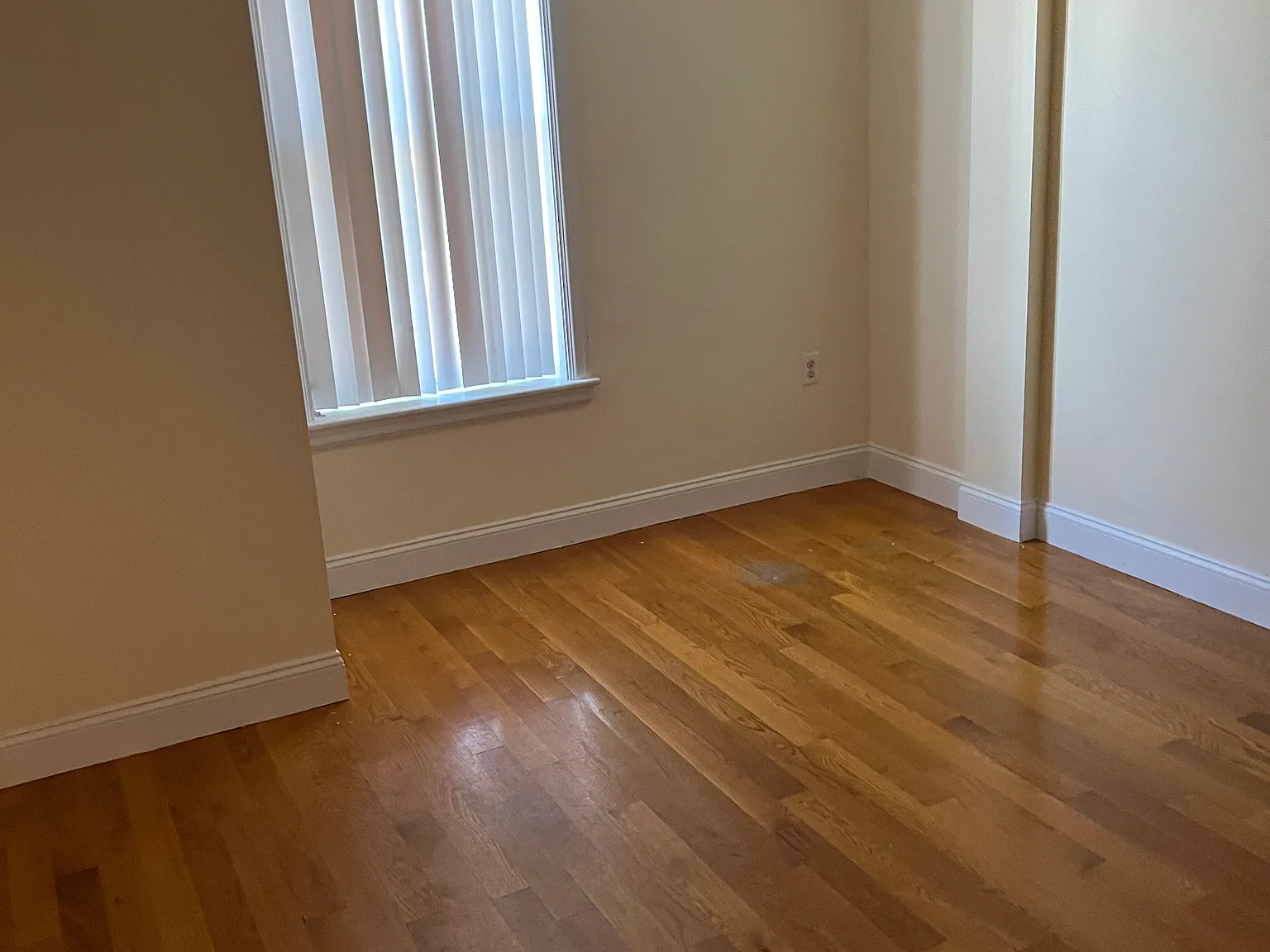 2 bed, 535 sqft, $3,700 — Photo 1