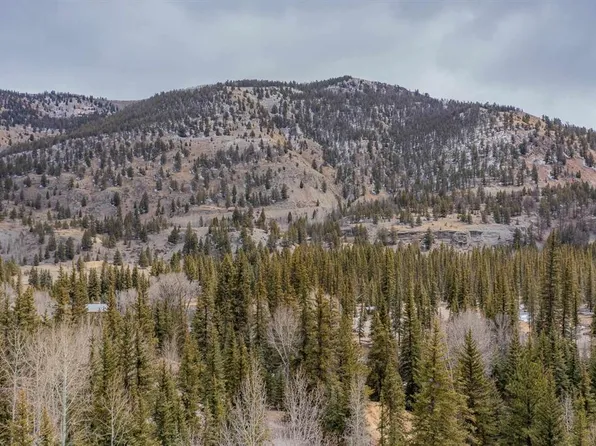 2743 Silver Coin Lane, Lake City, CO 81235