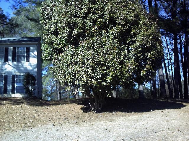 2nd image of 3986 Pin Oak Trl
