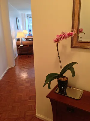 Rented by Realm Properties  | media 25