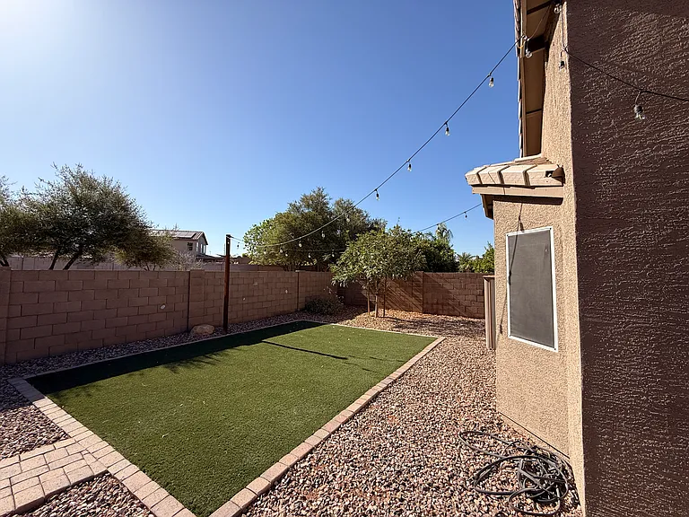backyard turf