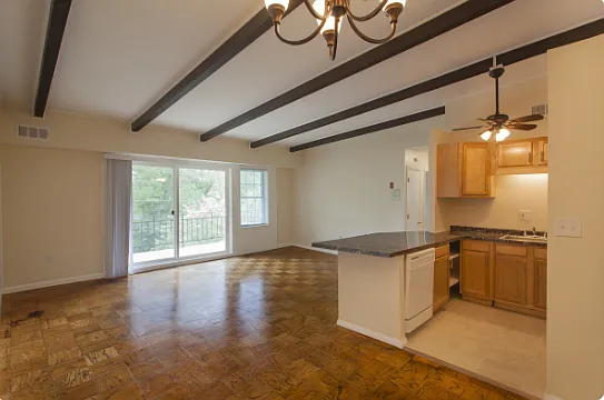 Justin Manor — Photo 10