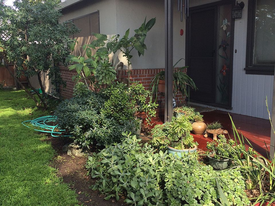 Front porch and door.
