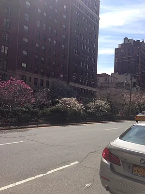 Rented by Nest Seekers International | media 21