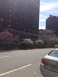 Rented by Nest Seekers International