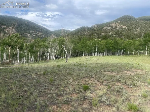 171 Emerald Way, Lake George, CO 80827