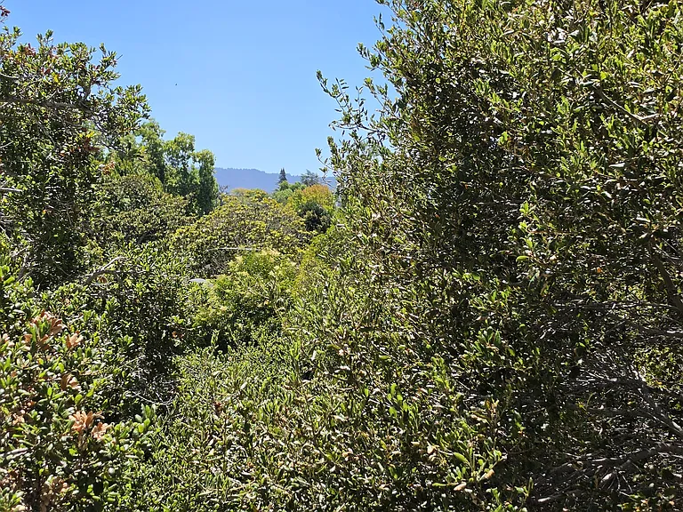 view from Balcony/patio