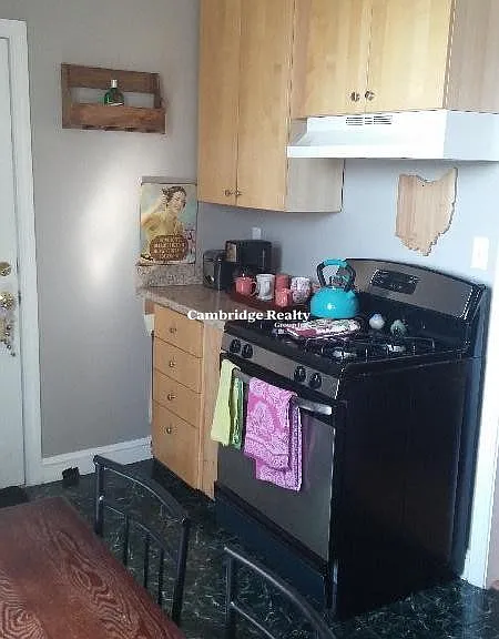 358 Broadway #5T — Photo 4