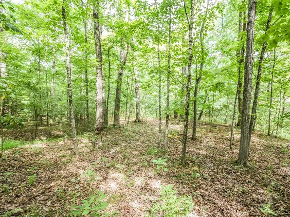 0 Upper Byrnes Mill Rd, House Springs, MO 63051