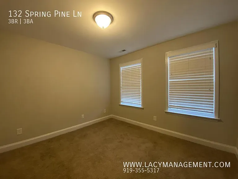 132 Spring Pine Ln — Photo 22