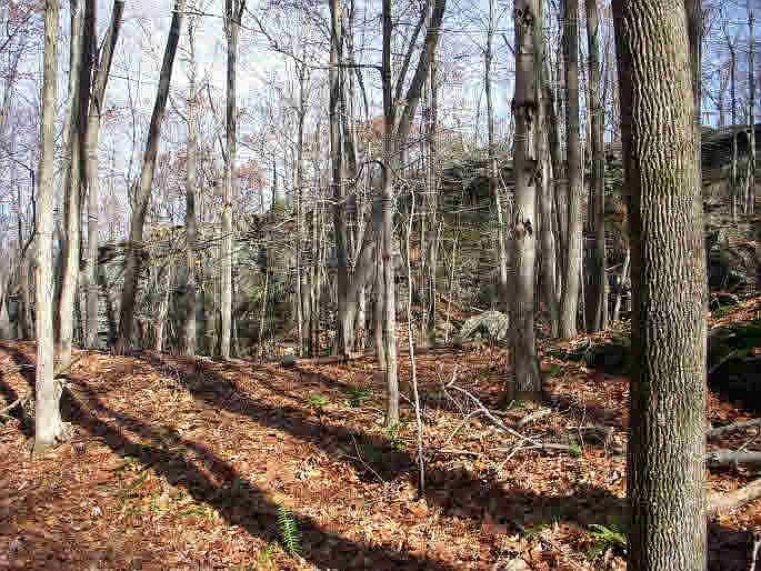 2nd image of 153 Bundy Hill Rd