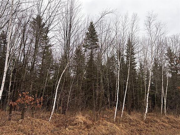 2nd image of ON Sheep Camp Road